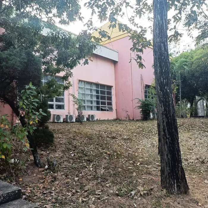 Image 7